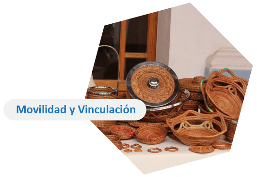 Movilidad y Vinculación